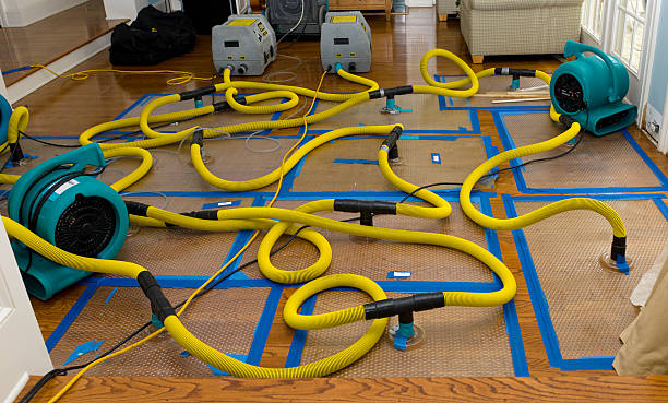 Professional Crawl Space Water Removal technician working in Cedar Bluff, VA